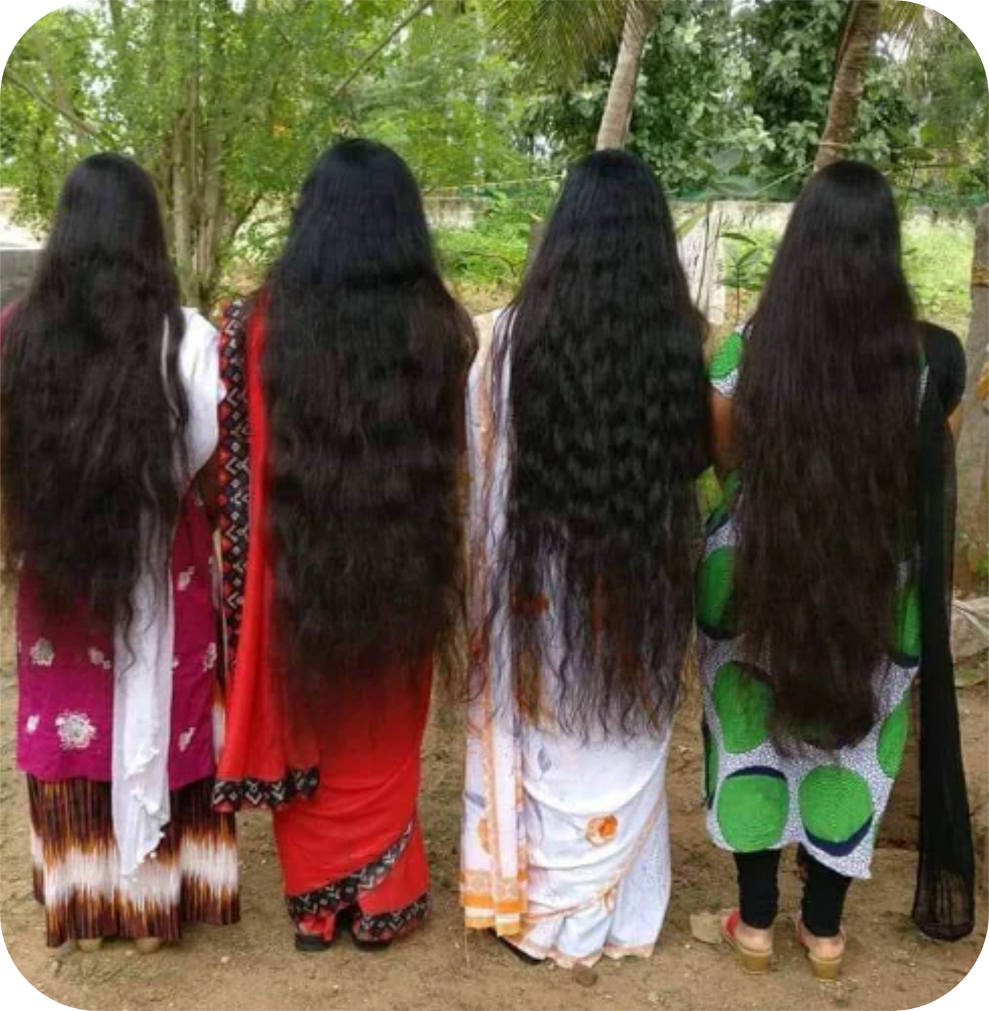 Adivasi Herbal Hair Oil * 100% Original * आदिवासी हेयर ऑयल Hair की समस्या से मिलेगी राहत